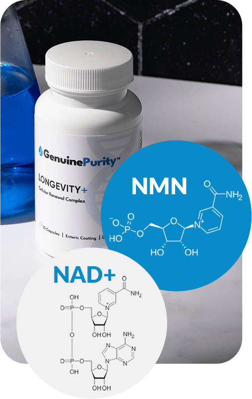 GenuinePurity Longevity+ - NMN the NAD Booster